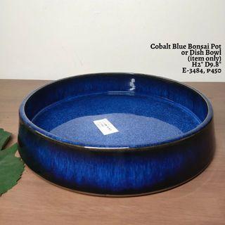 Cobalt Blue Bonsai Pot