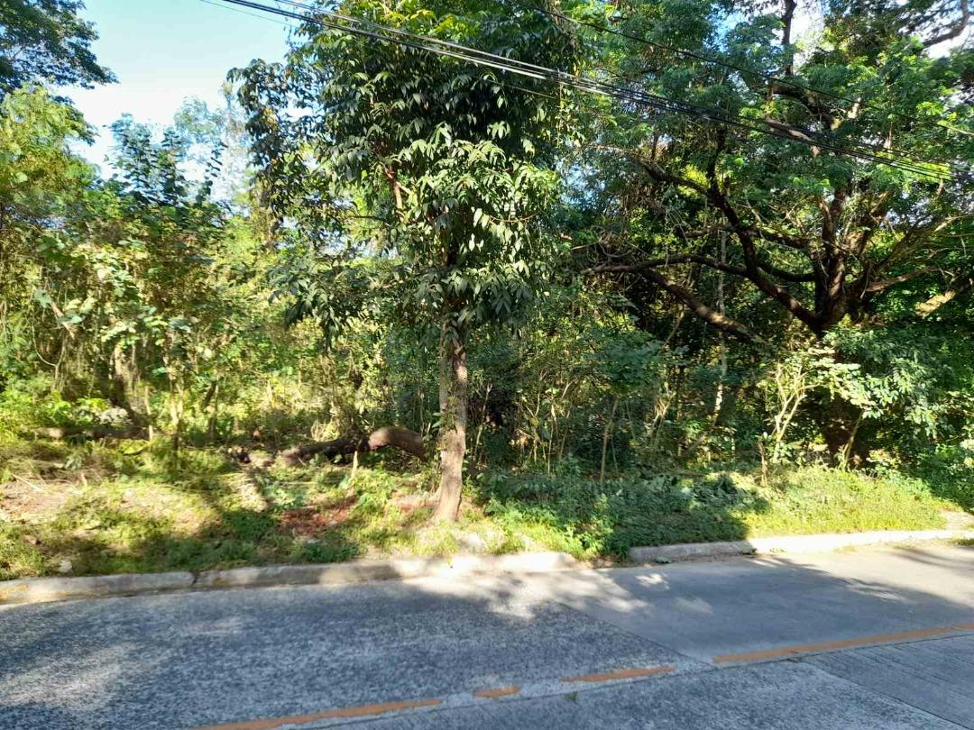 GE FOR SALE 2,085 sqm. Vacant Lot in Valley Golf Subdivision