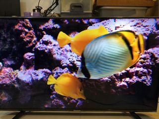 (Category: ) located in . Submitted by bitsnbytes (Listing ID 1182388347, Image 1). Description: .