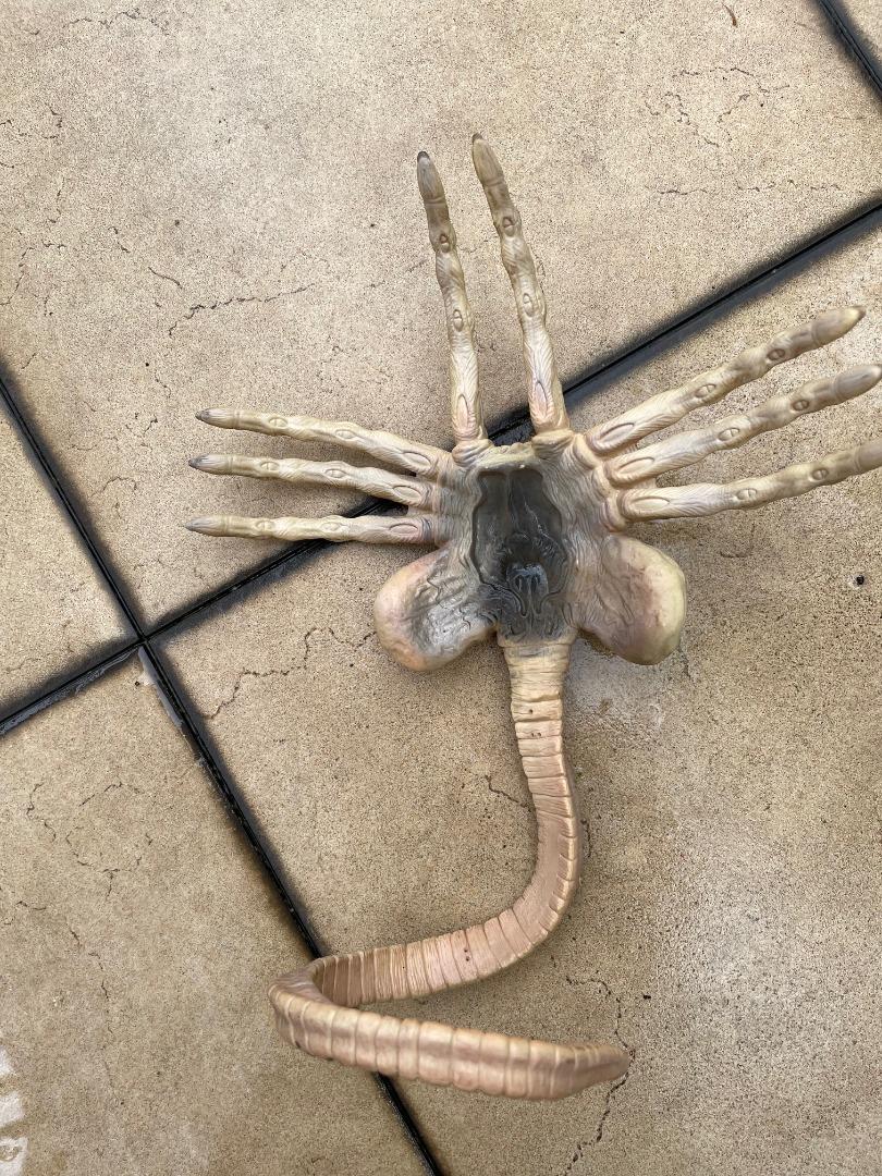 Kenner Alien Resurrection Facehugger, Hobbies & Toys, Toys & Games on Carousell