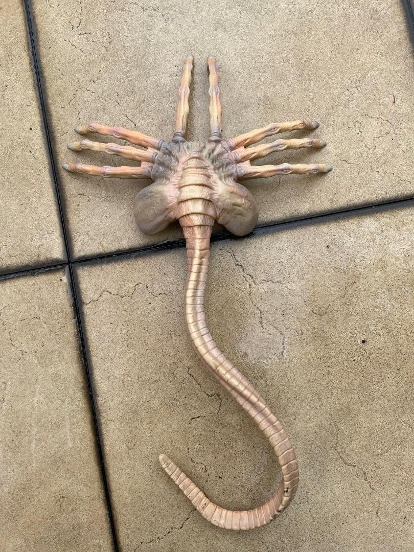 Kenner Alien Resurrection Facehugger, Hobbies & Toys, Toys & Games on Carousell