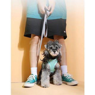 Pet harness