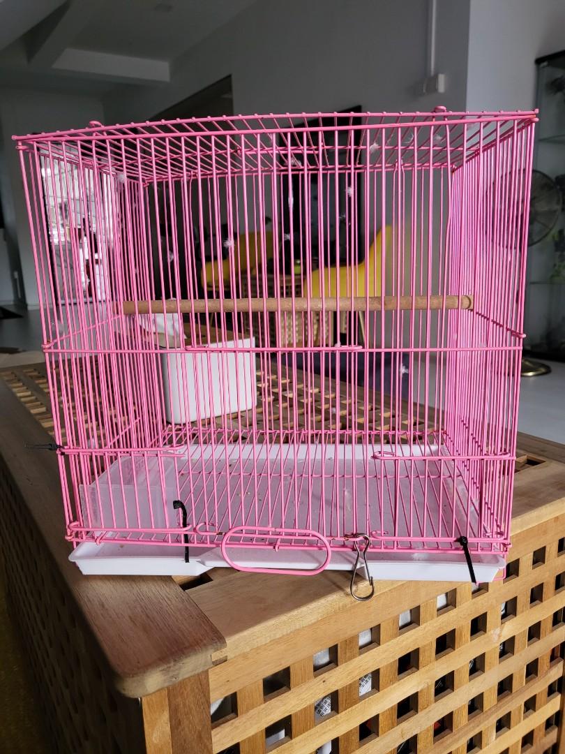 Small Bird Cage, Pet Supplies, Homes & Other Pet Accessories on Carousell