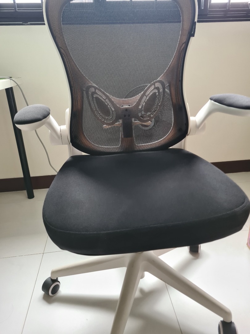 Xiaomi HBADA Chair x 2, Furniture & Home Living, Furniture, Chairs on ...