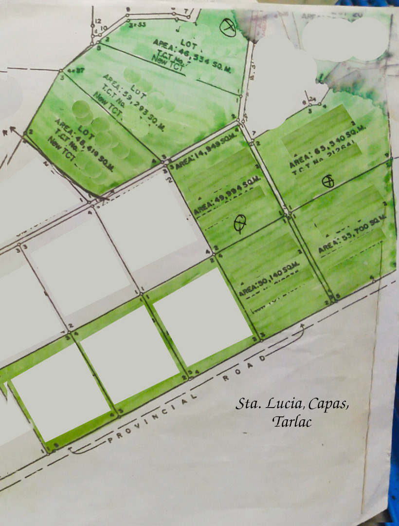 10 Hectares Near New Clark City, Capas, Tarlac, Property, For Sale, Lot on Carousell