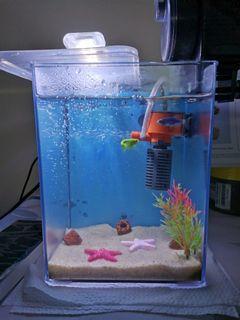Fish Tank All In Equipments.RUSH SALE Php450 only