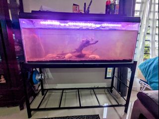 (Category: ) located in . Submitted by khair90 (Listing ID 1185992341, Image 1). Description: .