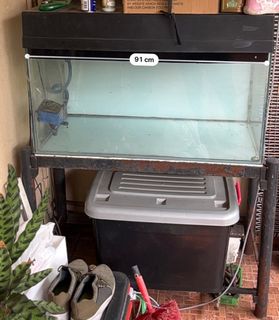 (Category: ) located in . Submitted by mansleo158 (Listing ID 1185995366, Image 1). Description: .