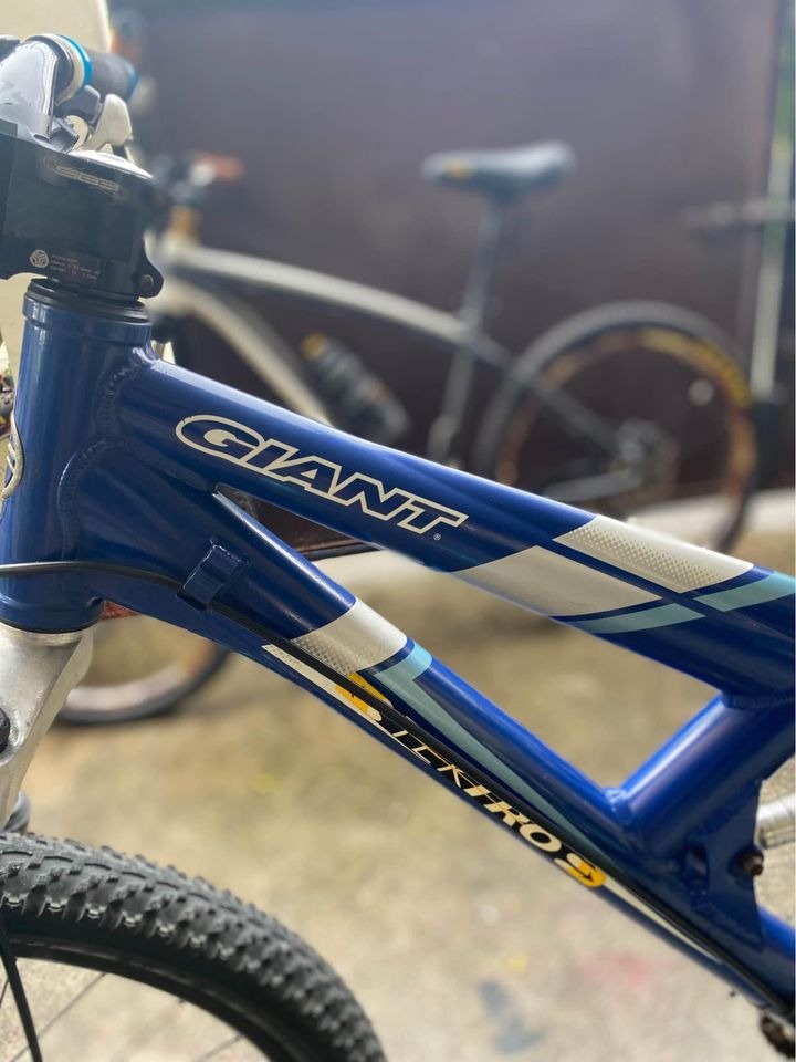 GIANT WARP & AVIA MTB FOR SALE, Sports Equipment, Bicycles & Parts
