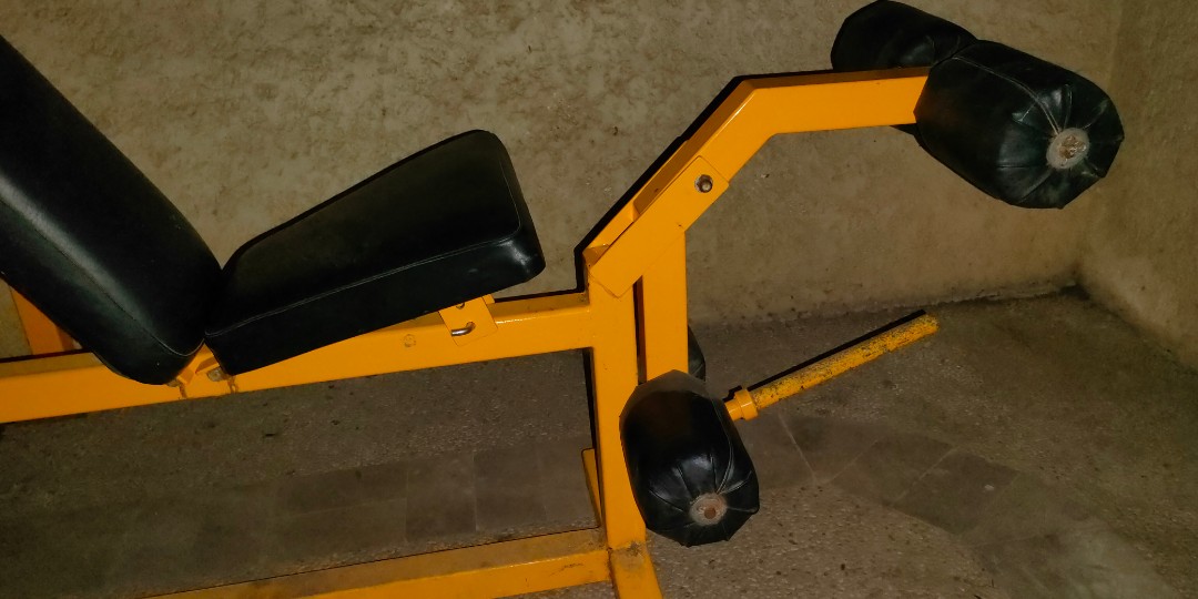 Heavy duty Squat/bench press cage with adjustable bench with leg curl