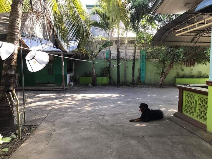 House and Lot in Brgy.Malamig, Bustos, Bulacan, Property, For Sale