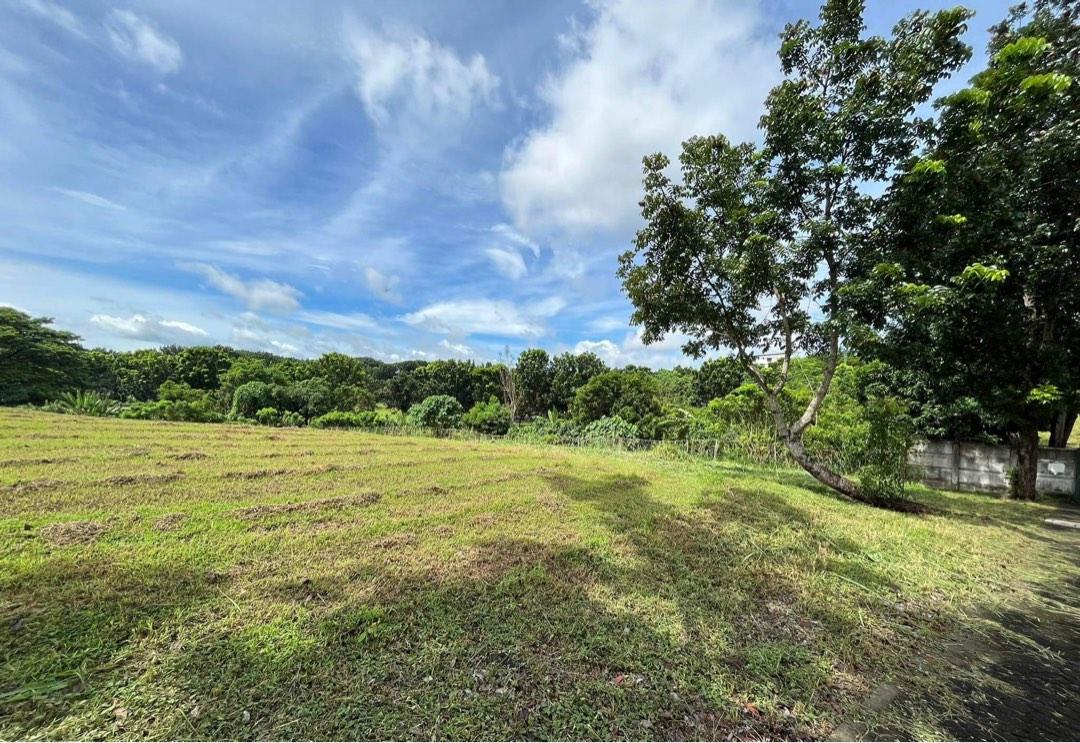 Manila Southwoods Estate Phase 2, Property, For Sale, Lot on Carousell