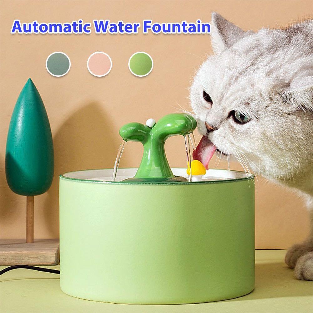 Water fountain for a cat clearance