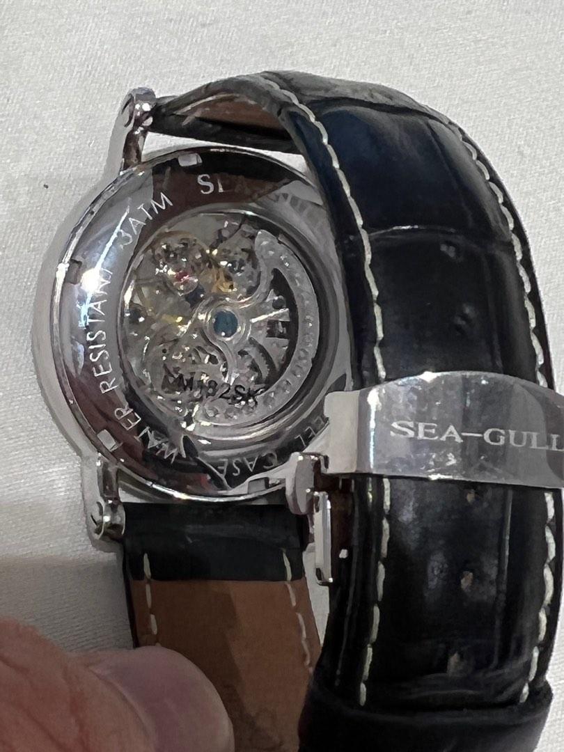 Seagull skeleton M182SK