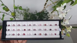(Category: ) located in . Submitted by burmesegems (Listing ID 1185953697, Image 1). Description: .