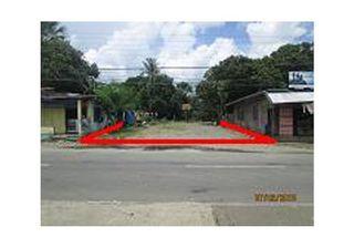 04167-NAG-065 (Lot for sale at Sta Elena Camarines Norte)