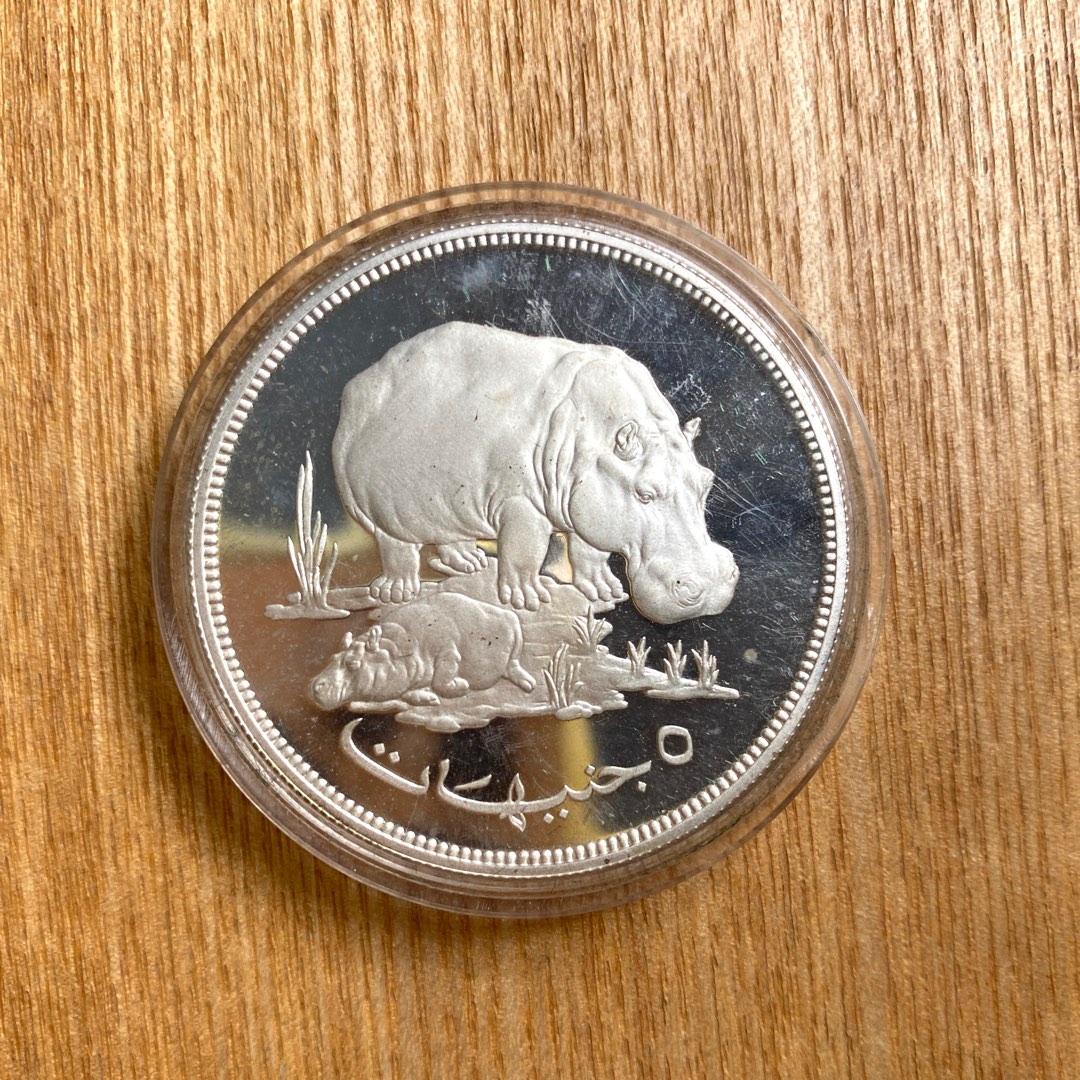 1976 Hippo silver proof coin for Sudan by Royal Mint, Hobbies & Toys