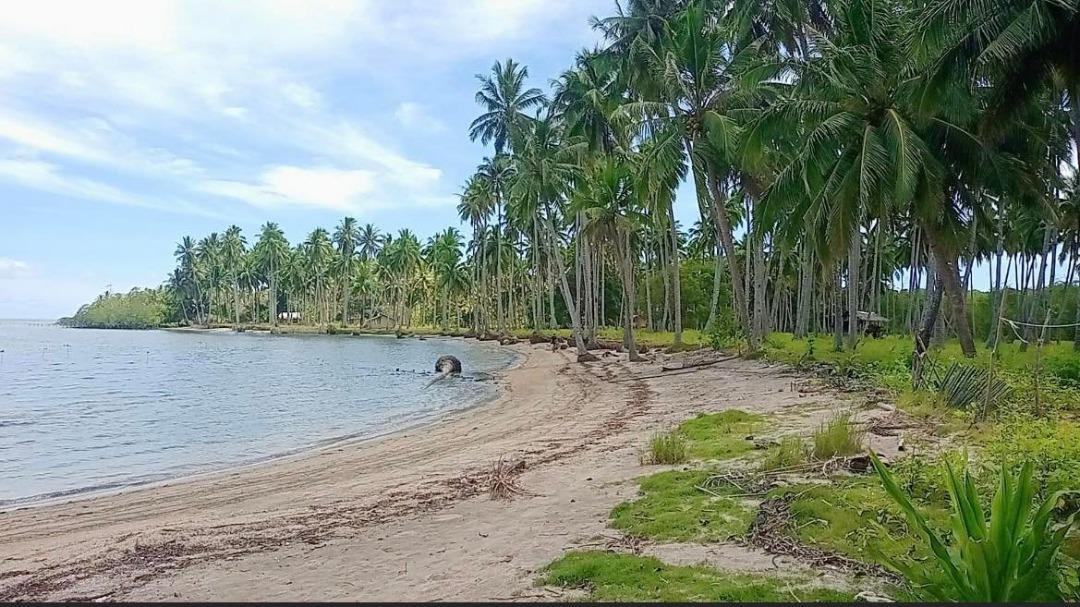 Beach Front Lot For Sale in Palawan. Near National Highway., Property