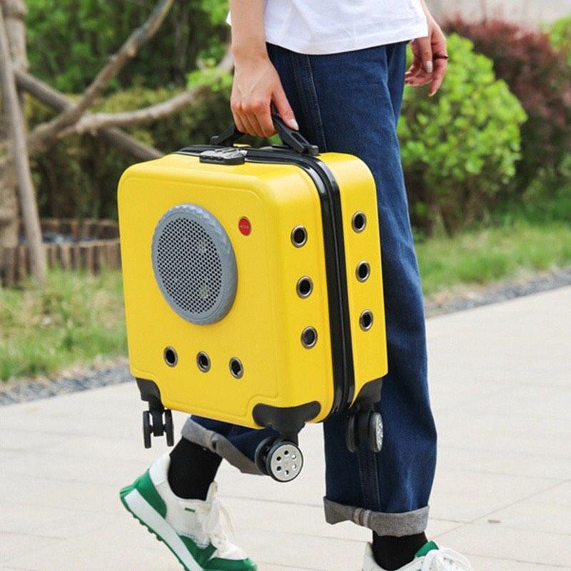 Cat Carrier Luggage Viral Murah, Pet Supplies, Homes & Other Pet