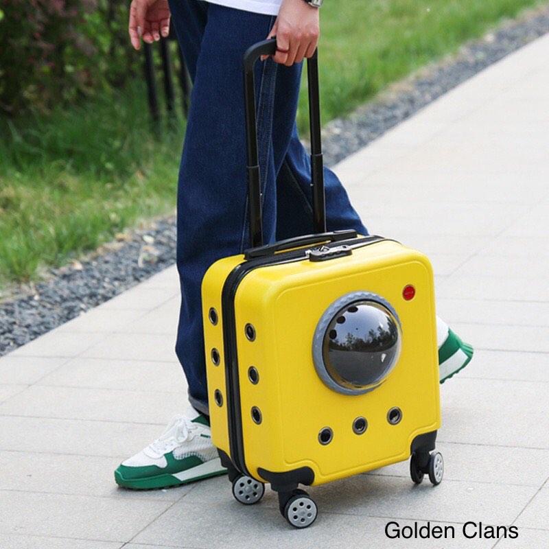 Cat Carrier Luggage Viral Murah, Pet Supplies, Homes & Other Pet