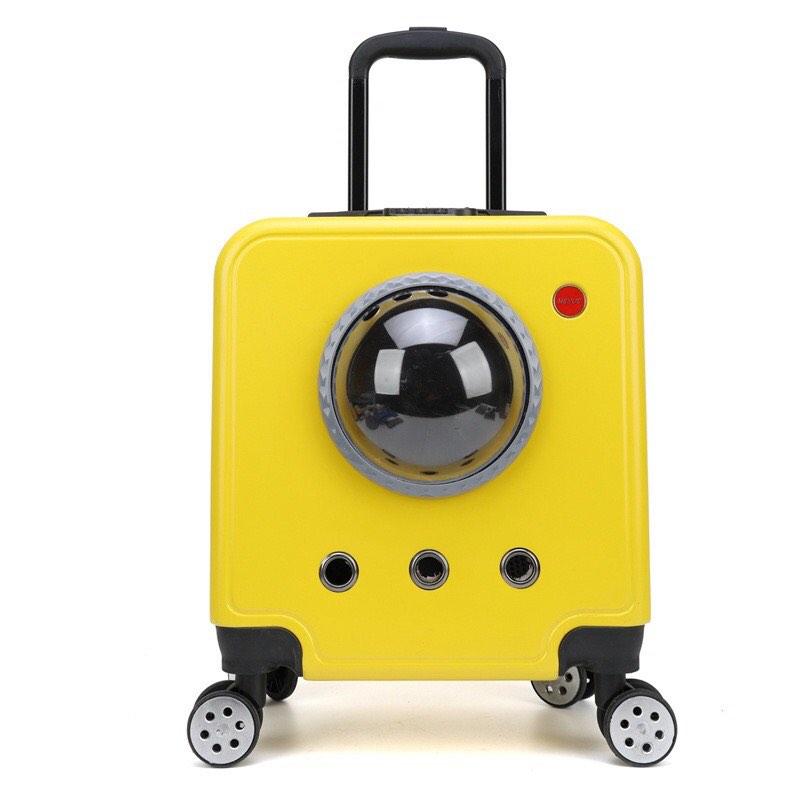 Cat Carrier Luggage Viral Murah, Pet Supplies, Homes & Other Pet