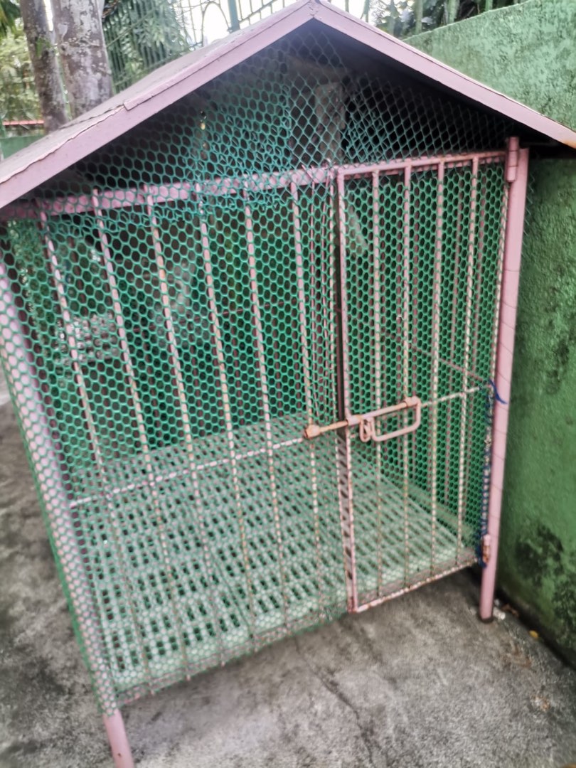 Dog cage(for Bacolod resident only), Pet Supplies, Homes & Other Pet