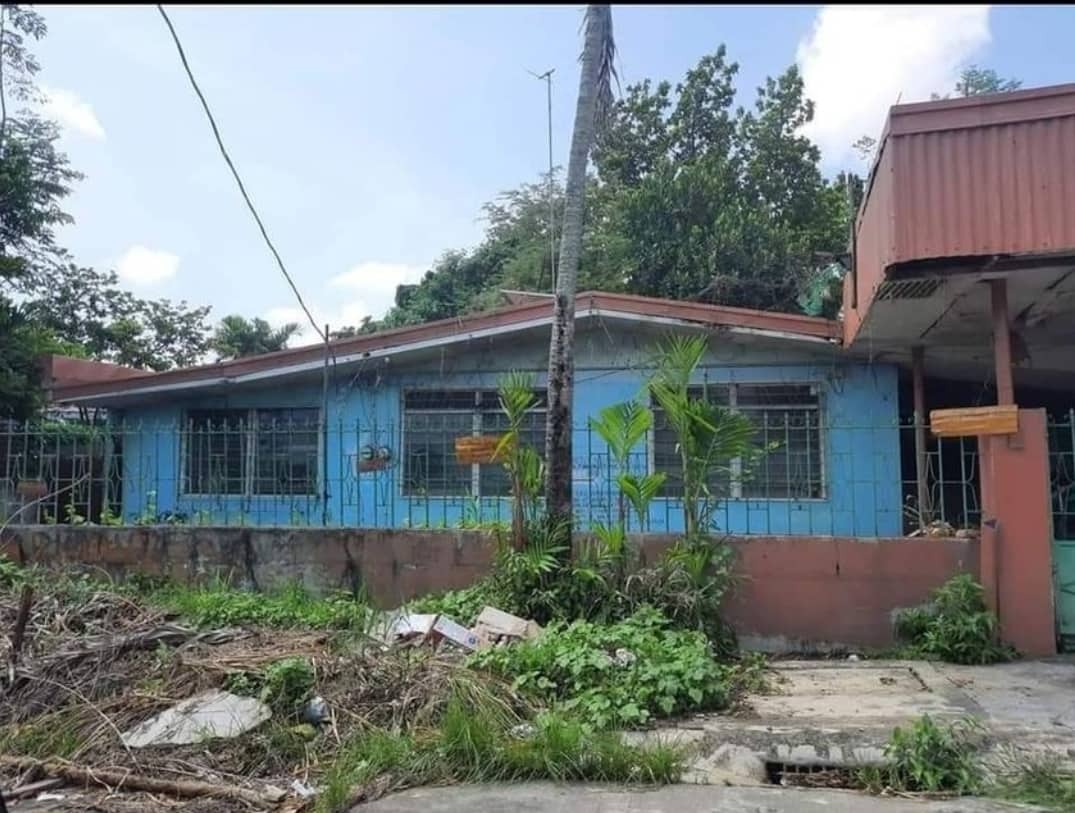 House and Lot for Sale Ceris 1&2 Canlubang, Calamba Laguna, Property