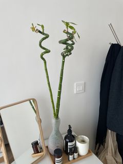 （分類：）位於 。 由 macrita99 提交（商品編號 1186288283，圖片 1）。簡介： 。