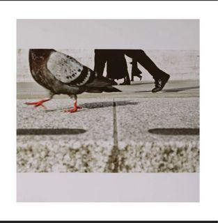 Matt Stuart, Magnum photos, Signed c-print.