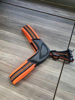 Orange colour dog harness