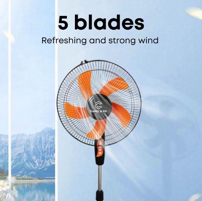 Strong floor shop fans