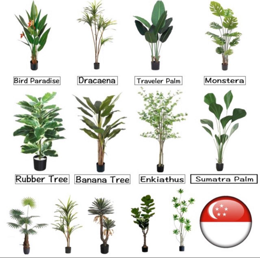 SG ready stock Premium Artificial Plants pots, Furniture & Home Living