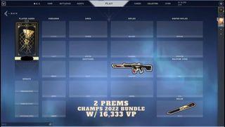 16,333 VP + champion bundle Valorant account