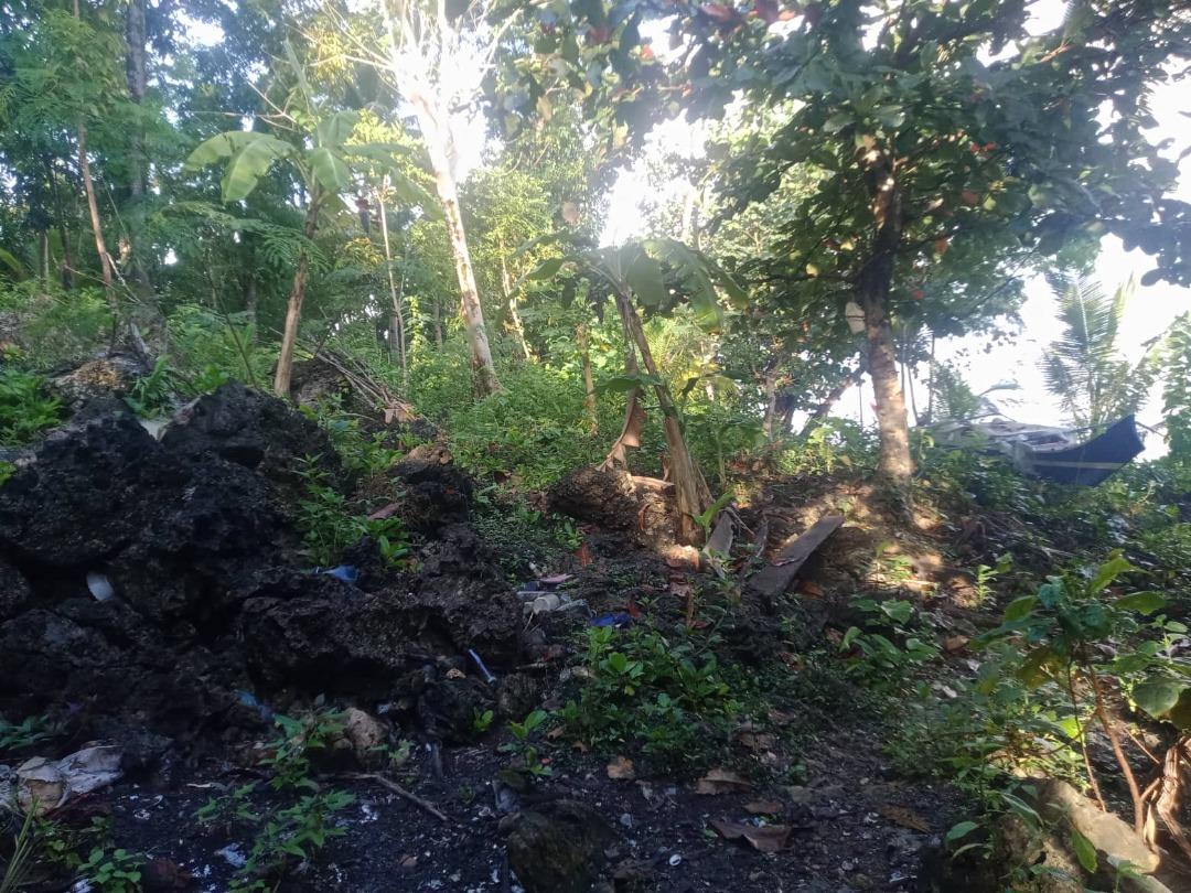 904 sqm Beach lot for SALE in Buruanga, AKLAN, Property, For Sale, Lot