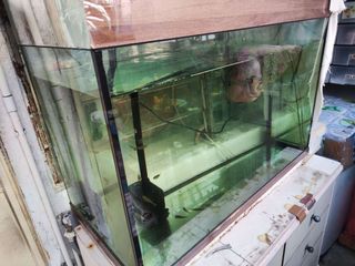 （分類：）位於 。 由 hung2222 提交（商品編號 1186396756，圖片 1）。簡介： 。