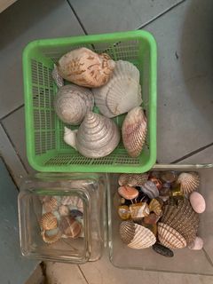 (Category: ) located in . Submitted by sakok (Listing ID 1186308379, Image 1). Description: .