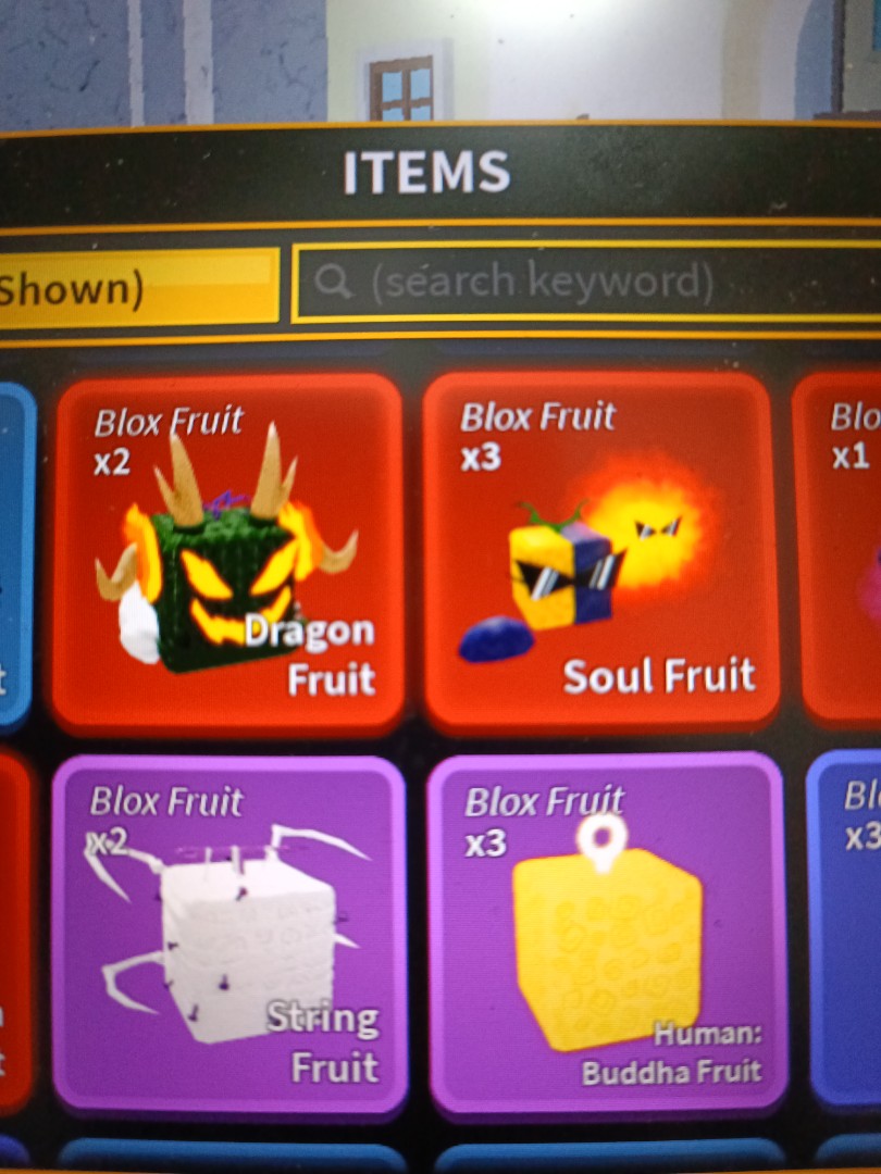 BLOX FRUITS Human: Buddha, 其他, 其他- Carousell