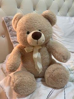 Brown Plush bear