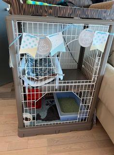 Cat Cage 貓籠
