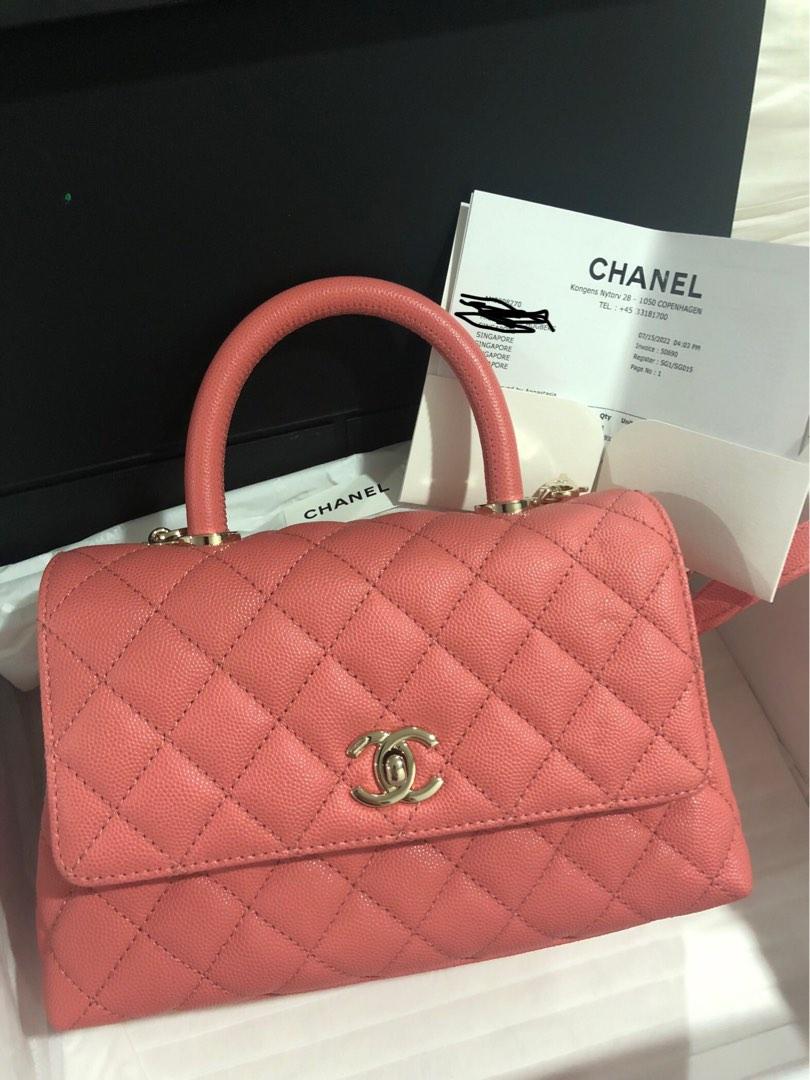 Bag Organizer for Chanel Coco Handle (24cm/9.4  