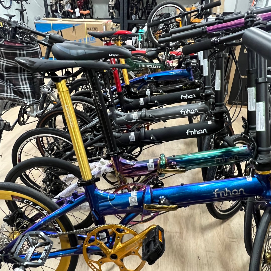 Fnhon crius foldable bike Brompton Birdy folding bcm I. Yes, Sports