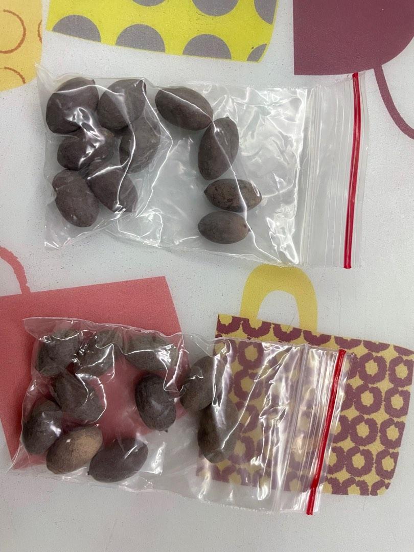 Lotus Planter Pot Complete with Lotus Seeds, Furniture & Home Living