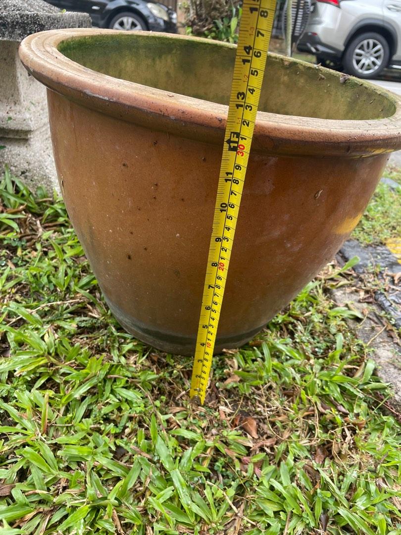 Lotus Planter Pot Complete with Lotus Seeds, Furniture & Home Living