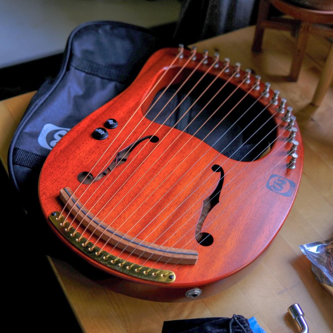 Walter t lyre shop harp
