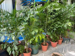（分類：）位於 。 由 15ipmc1 提交（商品編號 1186328503，圖片 1）。簡介： 。