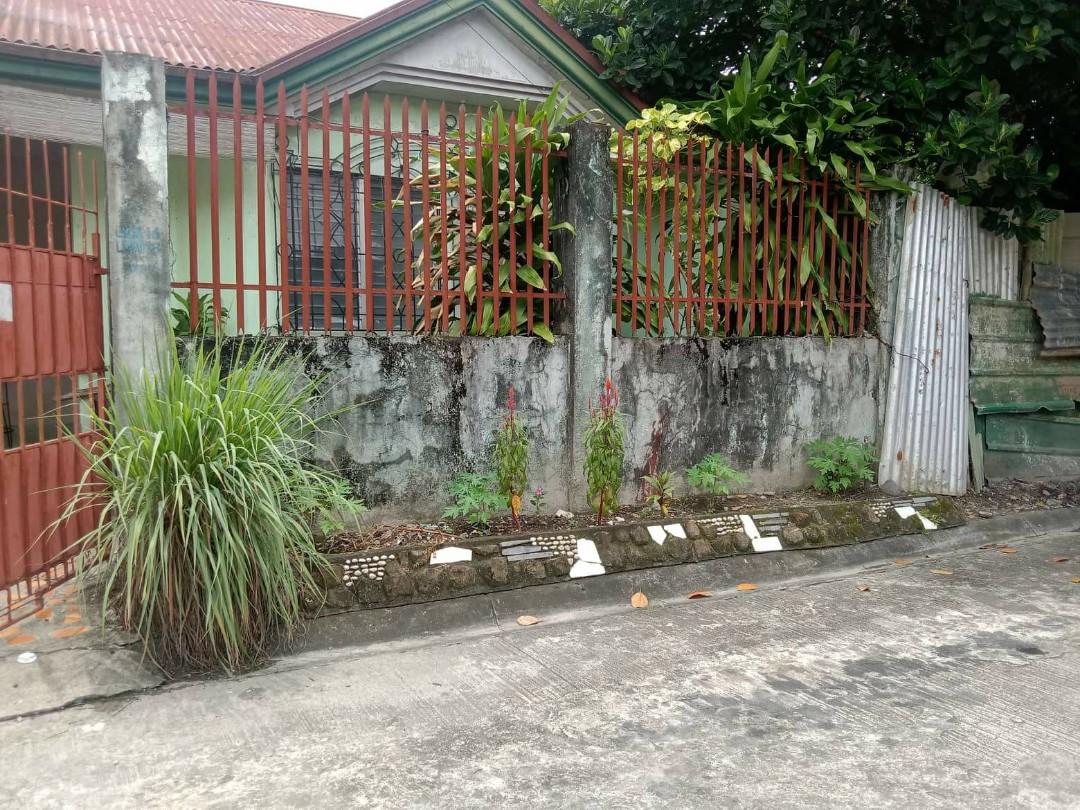 Regent Pearl Homes house & lot, Property, For Sale, House & Lot on