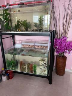 (Category: ) located in . Submitted by didijuly (Listing ID 1186592659, Image 1). Description: .