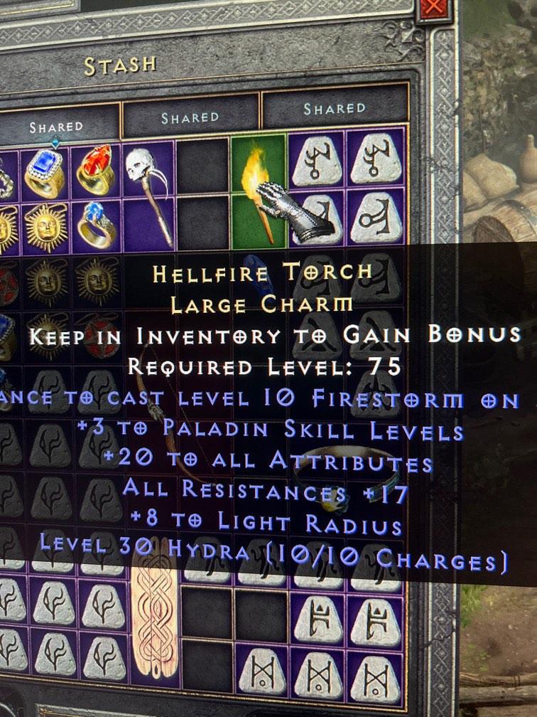 D2r paladin hellfire torch, Video Gaming, Gaming Accessories, InGame