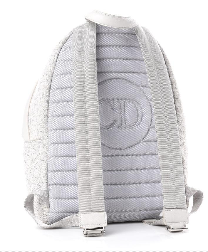 Dior rider backpack price store