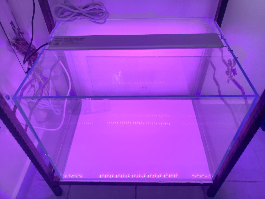 Crystal clear glass Fish tank and stand, Pet Supplies, Homes & Other